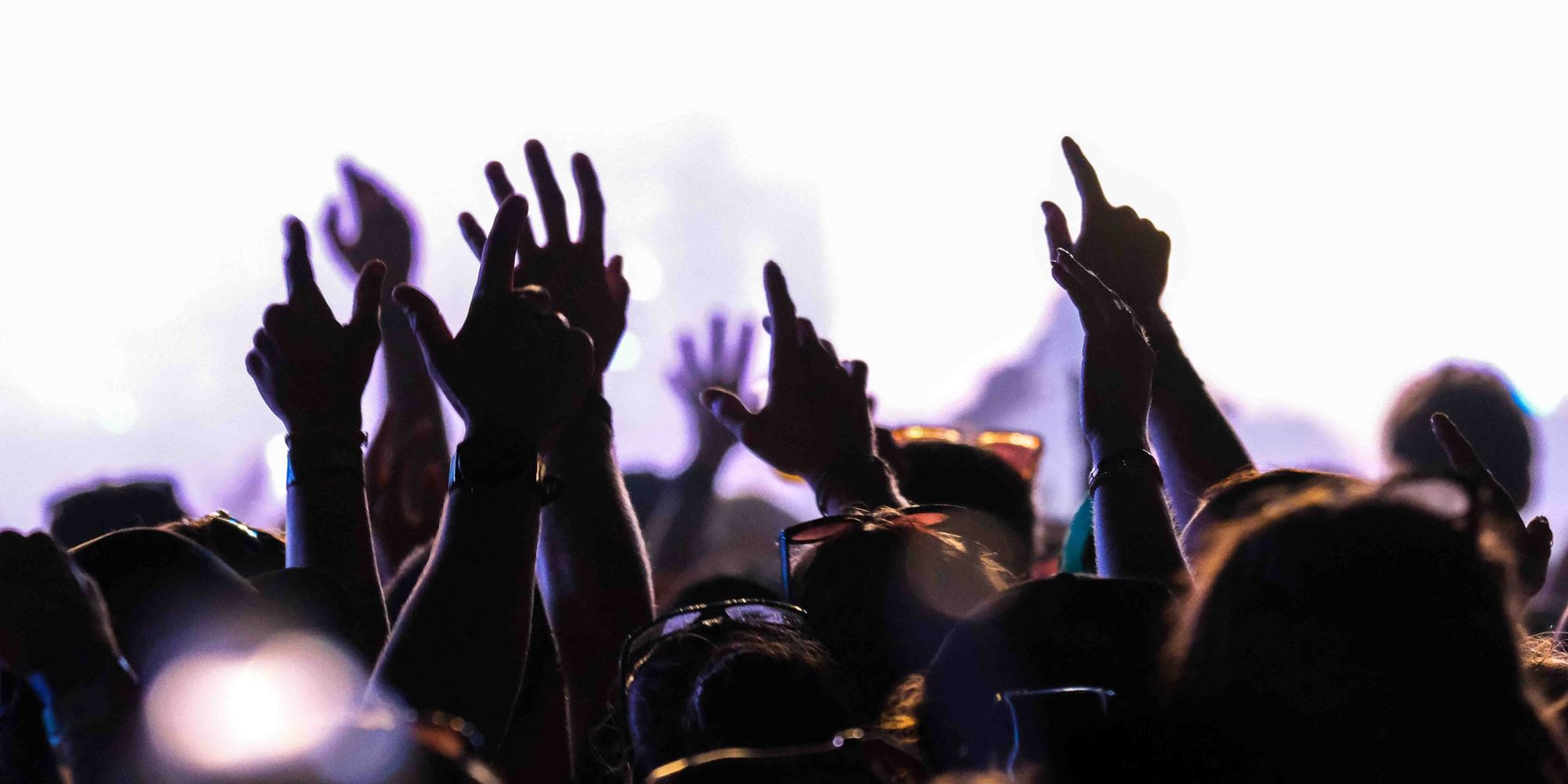 Crowd with hands in the air at a live show